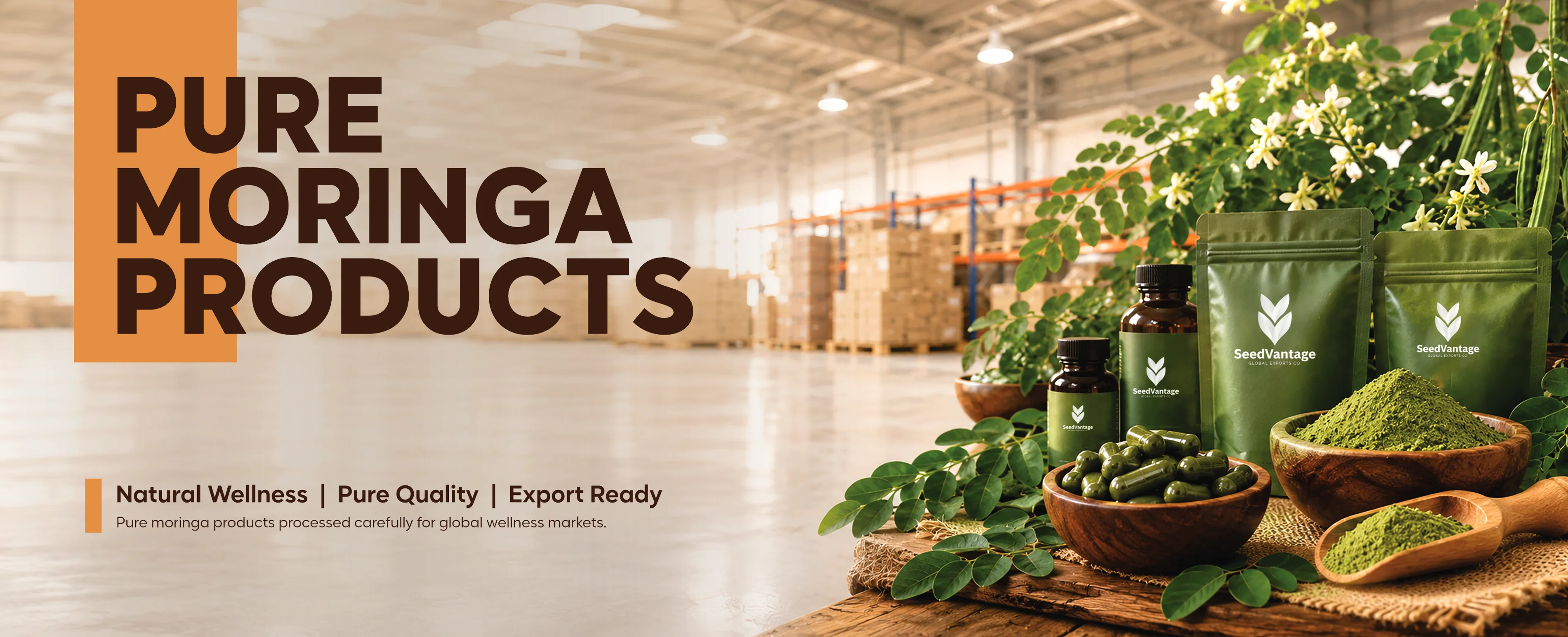 Moringa Manufacturer in Rafha