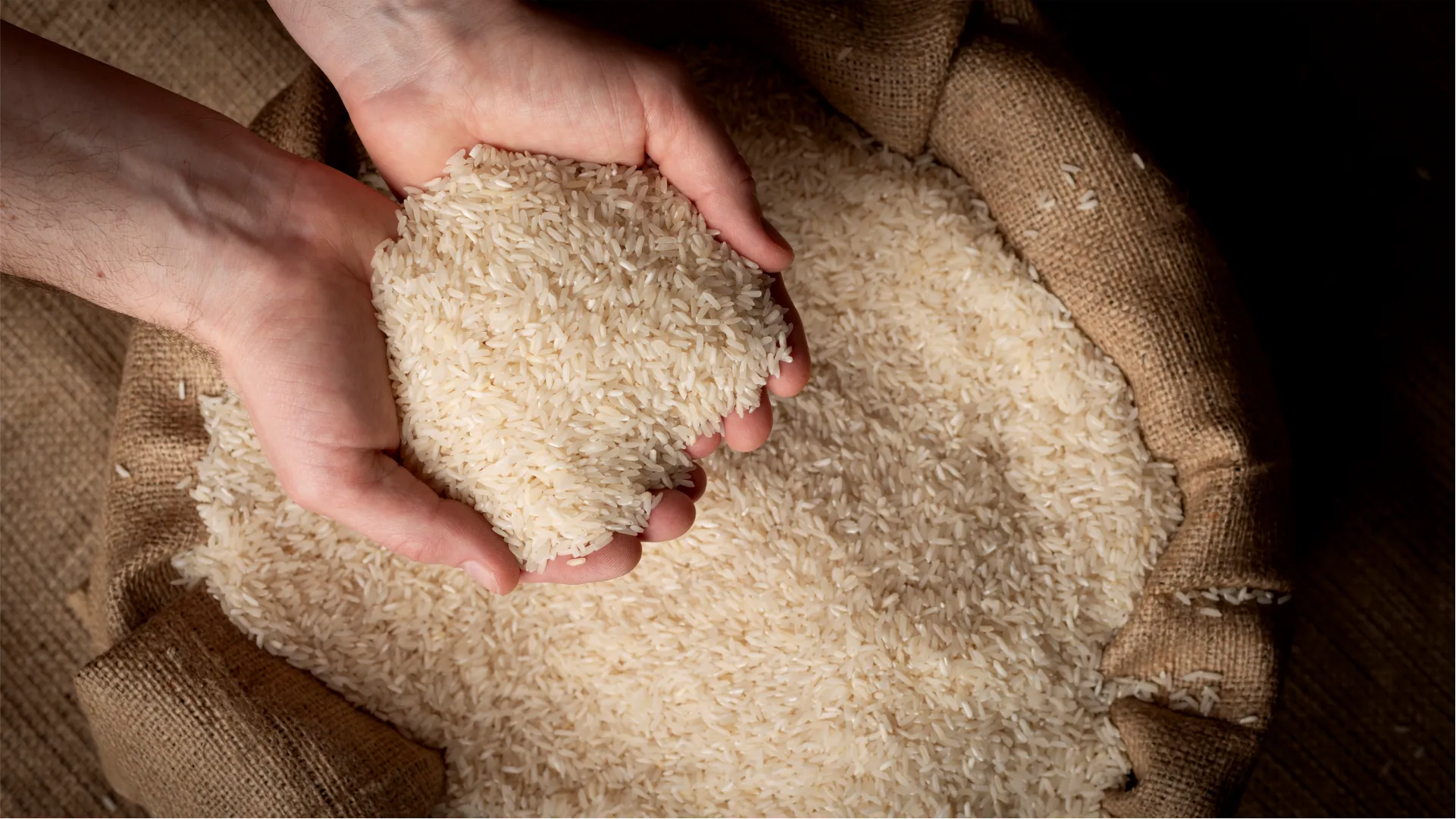 How SeedVantage Ensures Every Bag is 100% Pure Basmati