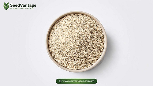 10 Benefits of Sesame Seeds Nutrition Types and Uses