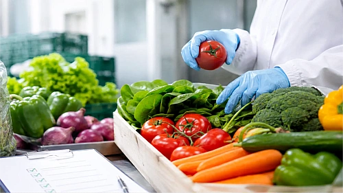 Beyond the Surface: What FSSAI Compliance Means for Your Daily Veggies -  SeedVantage Global Exports Co Blog