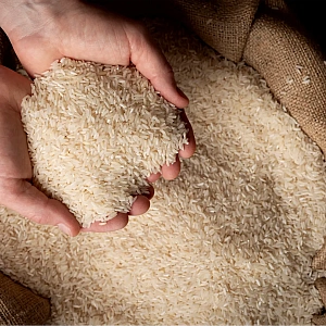 How SeedVantage Ensures Every Bag is 100% Pure Basmati