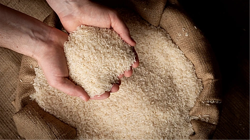 How SeedVantage Ensures Every Bag is 100% Pure Basmati -  SeedVantage Global Exports Co Blog