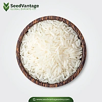 1121 Basmati Rice Manufacturer in Germany
