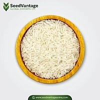 1121 Creamy Sella Basmati Rice​ Manufacturer in India