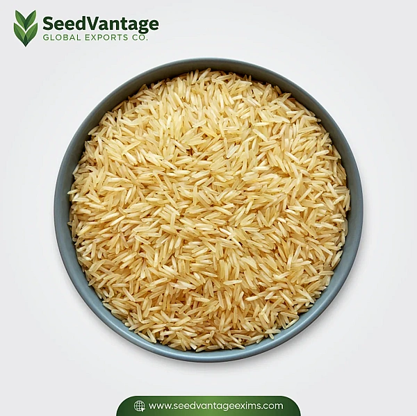1121 Golden Sella Basmati Rice Manufacturer in Arar