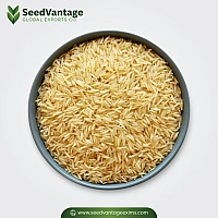 1121 Golden Sella Basmati Rice Manufacturer in India