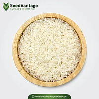 1121 White Sella Basmati Rice Manufacturer in India