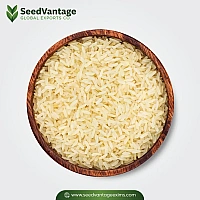 1121 White Steam Basmati Rice Manufacturer in India