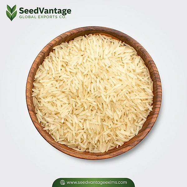 1509 Basmati Rice Manufacturer in Dibba Al-Hisn