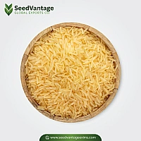 1509 Golden Sella Basmati Rice Manufacturer in India