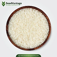 1509 White Sella Basmati Rice Manufacturer in India