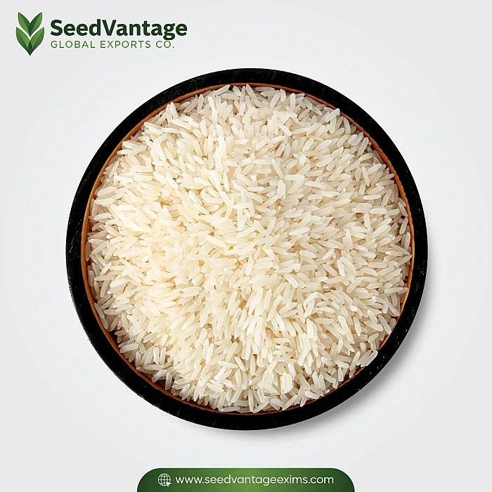 1509 White Steam Basmati Rice Manufacturer in India