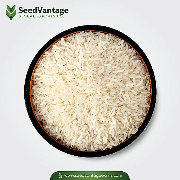 1509 White Steam Basmati Rice Manufacturer in Ar Rass