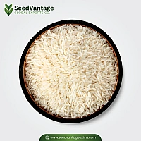 1509 White Steam Basmati Rice Manufacturer in India