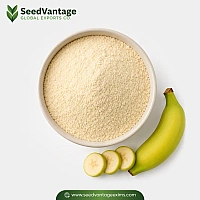 Banana Powder Manufacturer in Germany