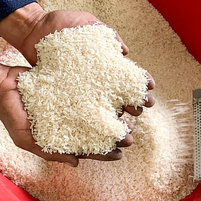 Basmati Rice Manufacturer in Rafha