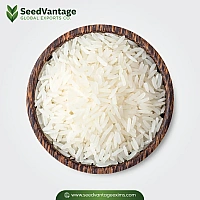 Creamy Sella Basmati Rice Manufacturer in India