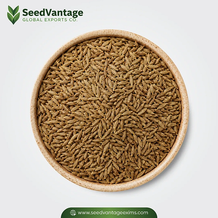 Cumin Seeds Manufacturer in India