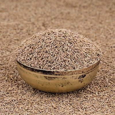 Cumin Seeds Manufacturer in Rafha