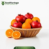Fresh Fruits Manufacturer in Arar