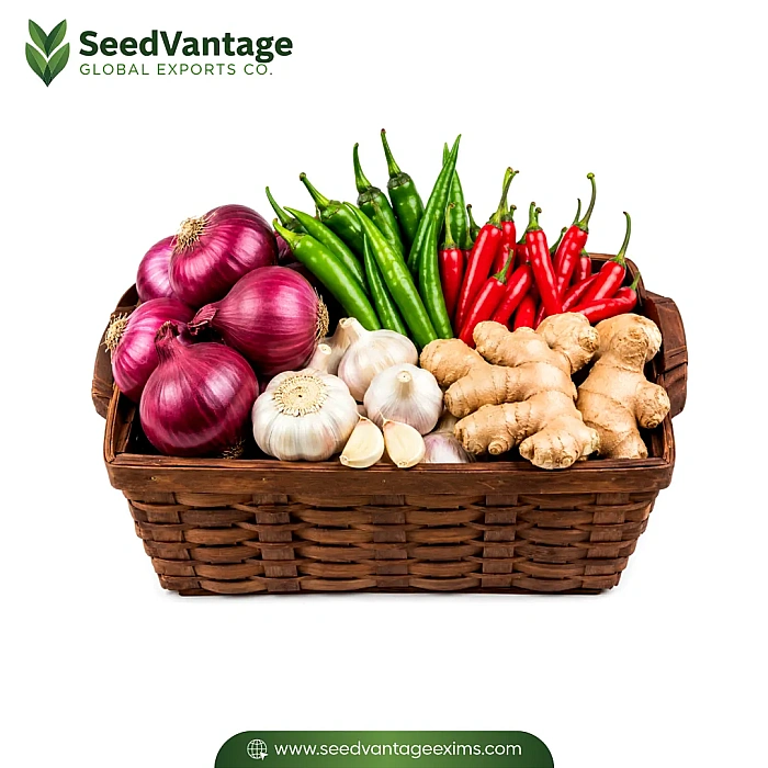 Fresh Vegetables Manufacturer in India