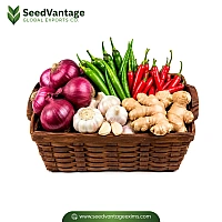 Fresh Vegetables Manufacturer in Jeddah
