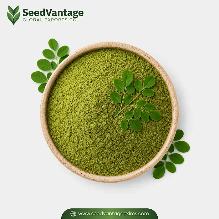 Moringa Powder Manufacturer in India