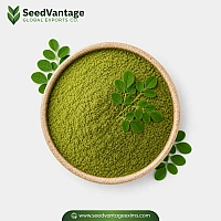 Moringa Powder Manufacturer in India
