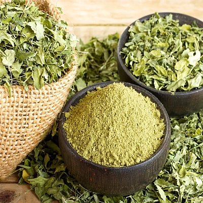 Moringa Powder Manufacturer in Rafha