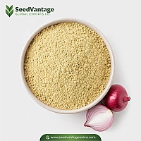Onion Powder Manufacturer in Bahrain