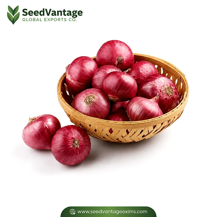Red Onion  Manufacturer in India