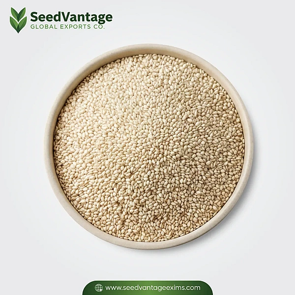 Sesame Seeds Manufacturer in Delhi