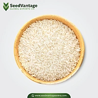Sugandha Rice Manufacturer in India