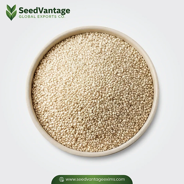 White Sesame Seeds Manufacturer in India