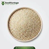 White Sesame Seeds Manufacturer in India