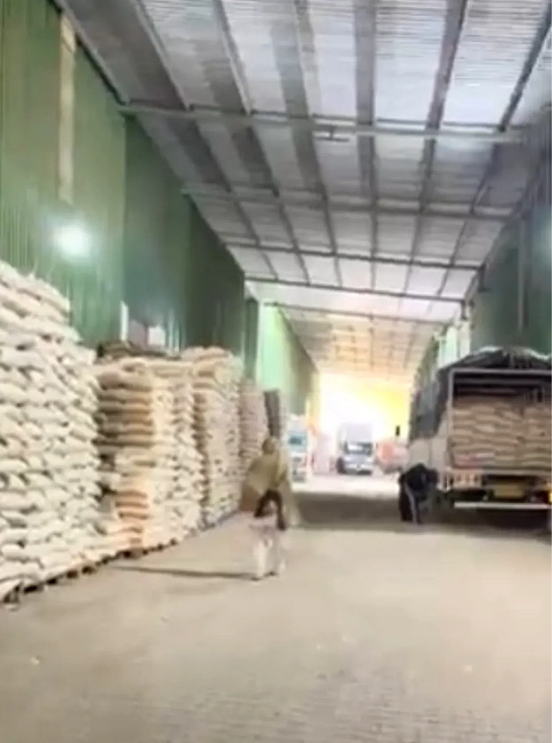 2 -  SeedVantage Global Exports Co. Infrastructure