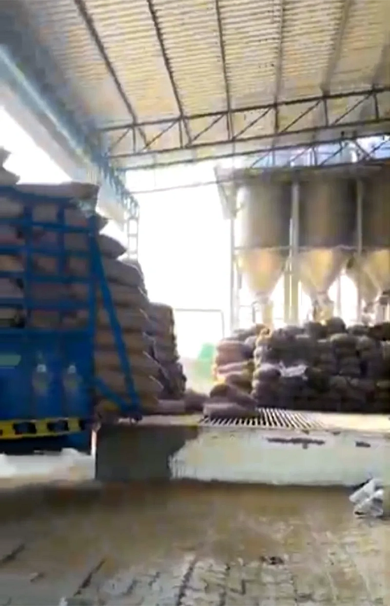 5 -  SeedVantage Global Exports Co. Infrastructure