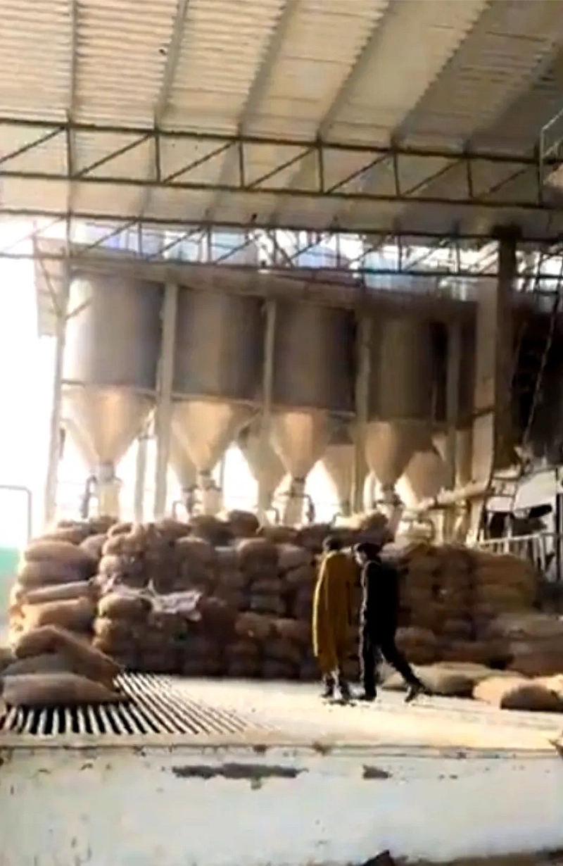 6 -  SeedVantage Global Exports Co. Infrastructure