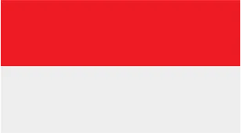 Onion Powder Exporter to Indonesia