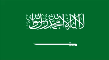 Onion Powder Exporter to Saudi Arabia