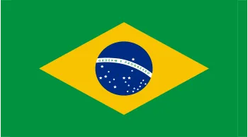 Onion Powder Exporter to Brazil
