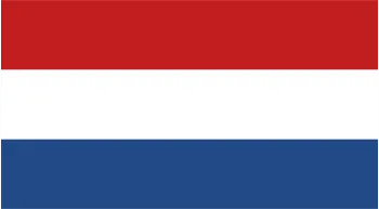 Onion Powder Exporter to Netherland
