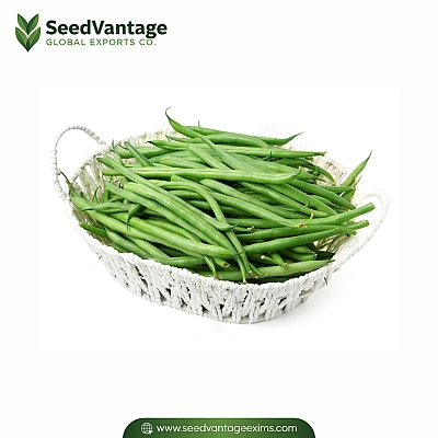 Green Beas Manufacturer in India