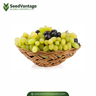 Fresh Grapes Manufacturer in India