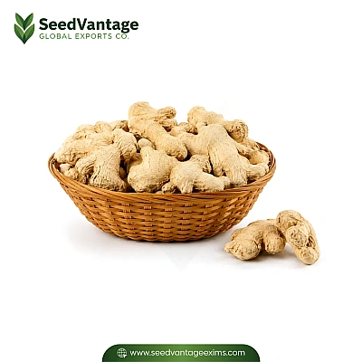 Dry Ginger Manufacturer in India