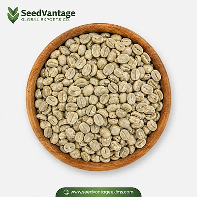 Arabica Coffee Beans Supplier in Al Dhaid
