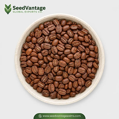 Roasted Arabica Plantation Supplier in Al Dhaid